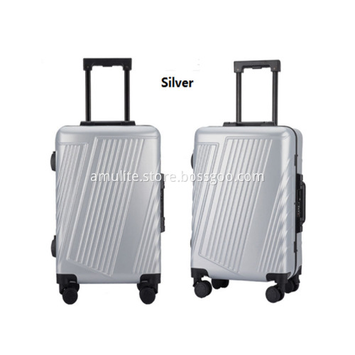 Hot selling New Style OEM PC Luggage